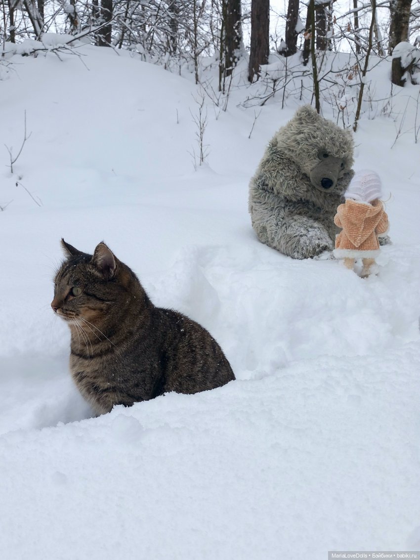 Авочка и Медведь — Куклы Sylvia Natterer (Сильвия Наттерер): Gotz (фото 10)