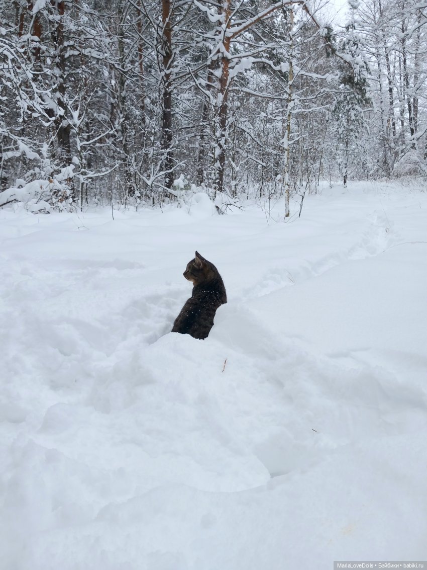 Авочка и Медведь — Куклы Sylvia Natterer (Сильвия Наттерер): Gotz