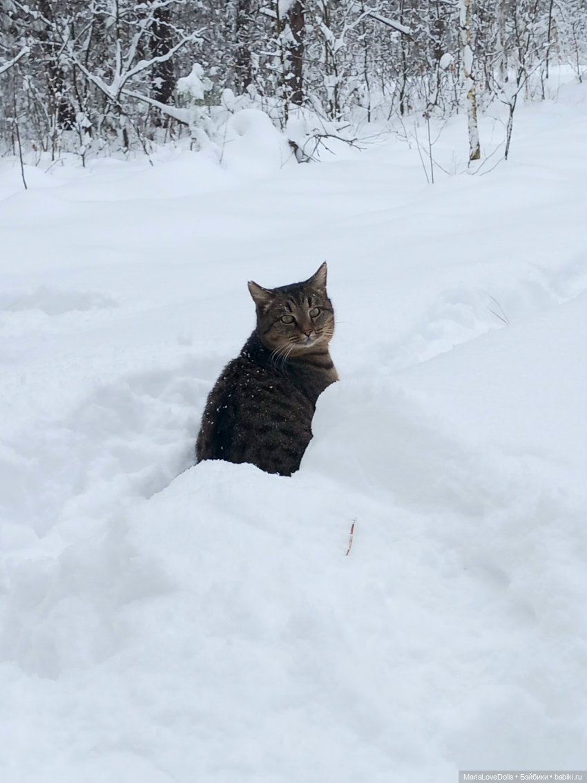 Авочка и Медведь — Куклы Sylvia Natterer (Сильвия Наттерер): Gotz