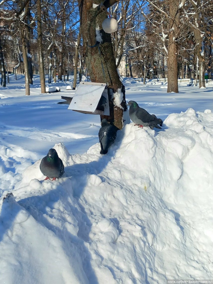 Городские улицы и Лея — Куклы Rosemarie Anna Muller (Мюллер): Вихтели (Wichtel)