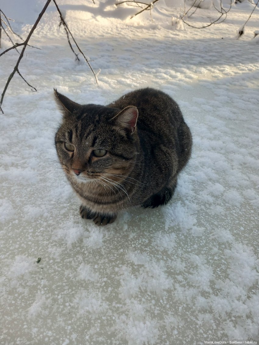 Три дня до весны — Куклы Rosemarie Anna Muller (Мюллер): Вихтели (Wichtel)