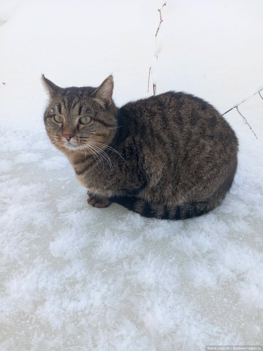 Три дня до весны — Куклы Rosemarie Anna Muller (Мюллер): Вихтели (Wichtel)