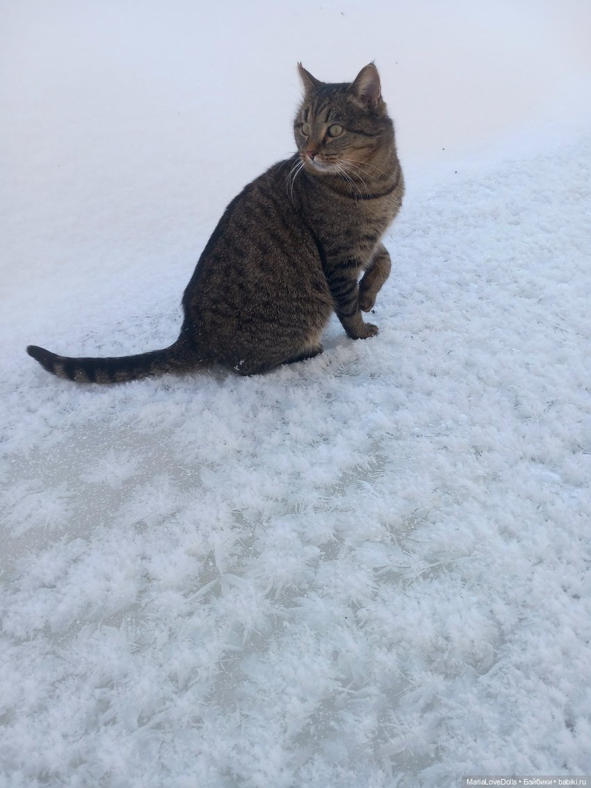 Три дня до весны — Куклы Rosemarie Anna Muller (Мюллер): Вихтели (Wichtel)