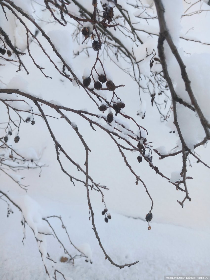 Три дня до весны — Куклы Rosemarie Anna Muller (Мюллер): Вихтели (Wichtel)