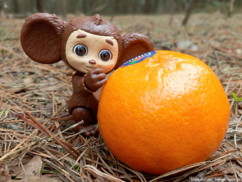 Малыш Че и его подружки — Куклы Sylvia Natterer (Сильвия Наттерер): Gotz (фото 2)