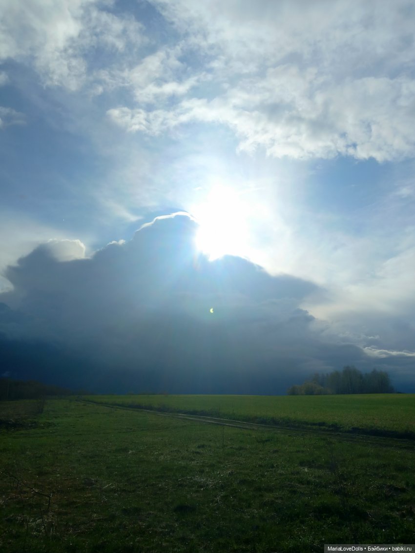 За полчаса до грозы — Куклы Rosemarie Anna Muller (Мюллер): Вихтели (Wichtel) (фото 5)