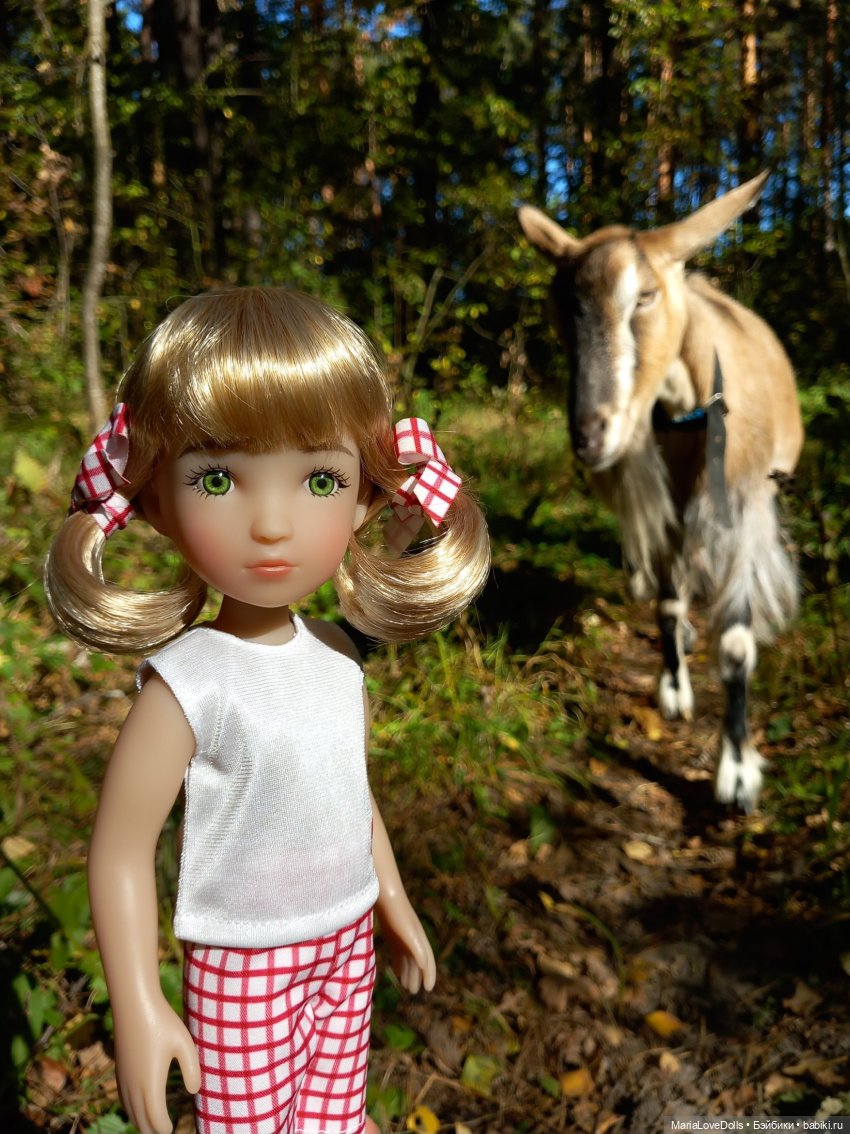 Последний подарок — Куклы Ruby Red (Руби Ред) Fashion Friends: Siblies
