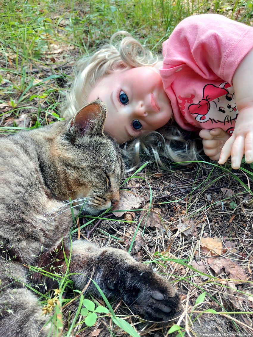 Жизнь рядом с котиком — Куклы Реборн (Reborn): домашние фото