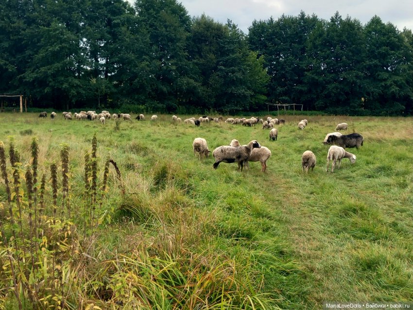 Родники — Куклы Xiaomi Monst (Сяоми) и Pipitom: шарнирные (фото 8)