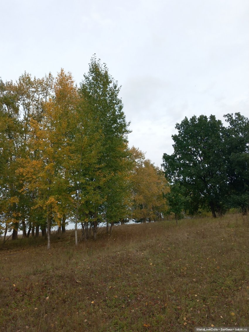 Родники — Куклы Xiaomi Monst (Сяоми) и Pipitom: шарнирные (фото 6)