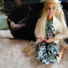 Котик и куколки