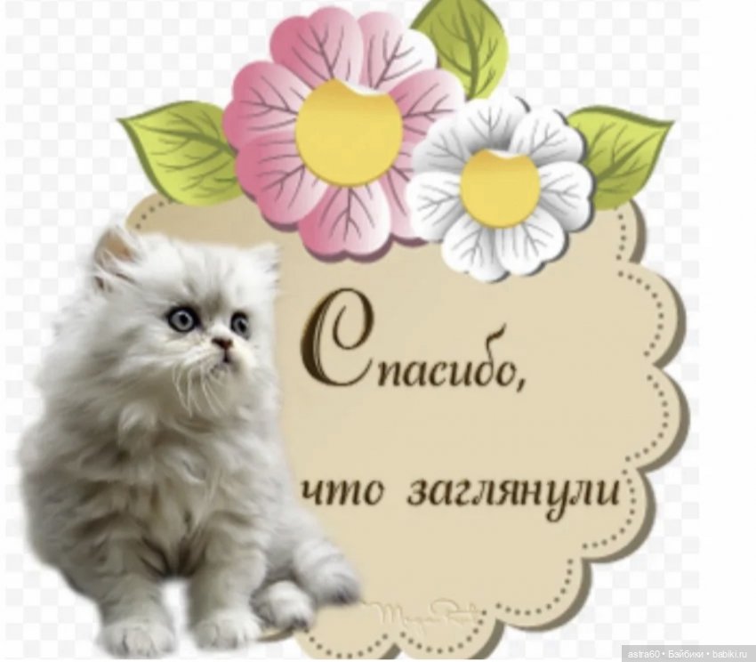 Как Тасенька с чужой ленью боролась…