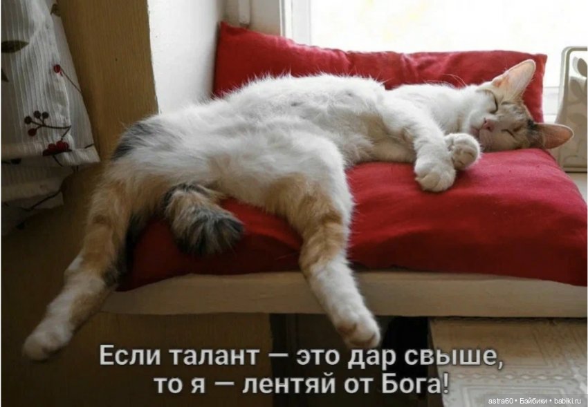 Как Тасенька с чужой ленью боролась… | Бэйбики Как Тасенька с чужой ленью боролась… (фото 6)