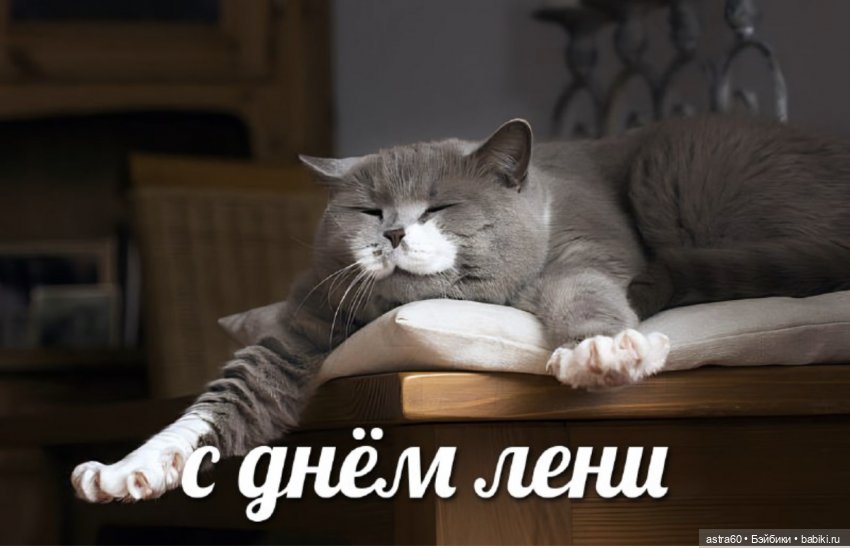 Как Тасенька с чужой ленью боролась… | Бэйбики Как Тасенька с чужой ленью боролась… (фото 5)