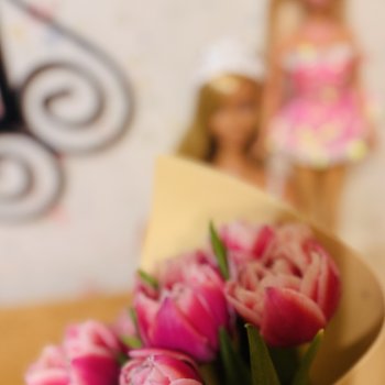 С Днём Рождения, Барби!