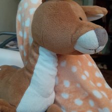 Жизнь одного оЛенчика