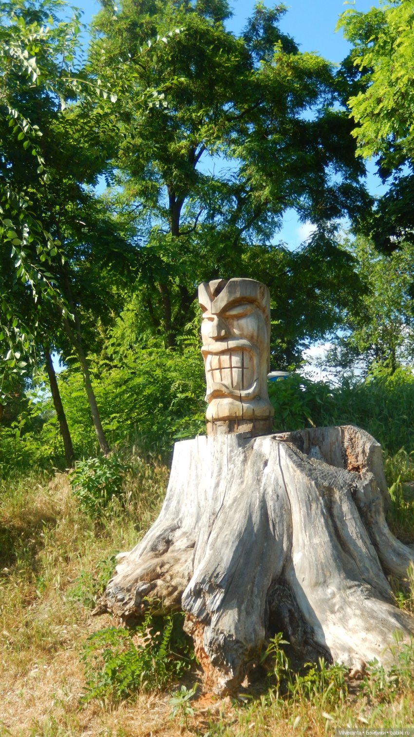 Ирэн и деревянные статуи. Прогулка (фото 8)