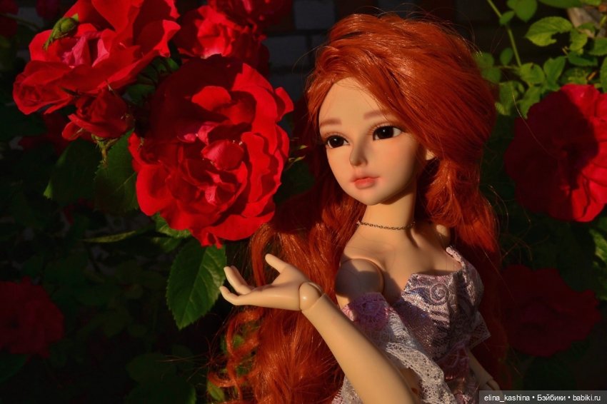 Minifee Lishe на прогулке (фото 2)