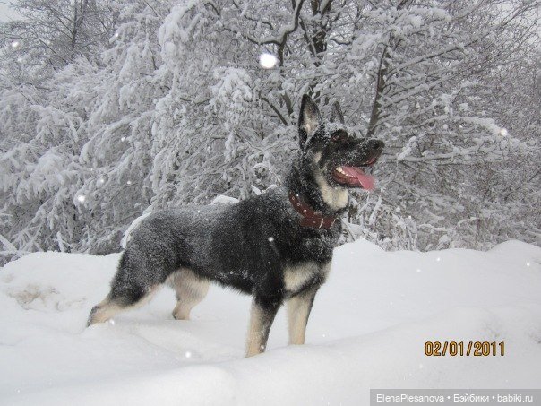 Если я вдруг о чём-то забыла