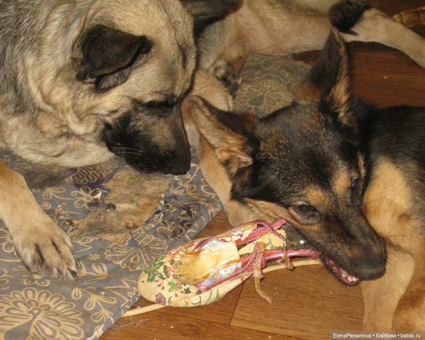 Если я вдруг о чём-то забыла (фото 3)