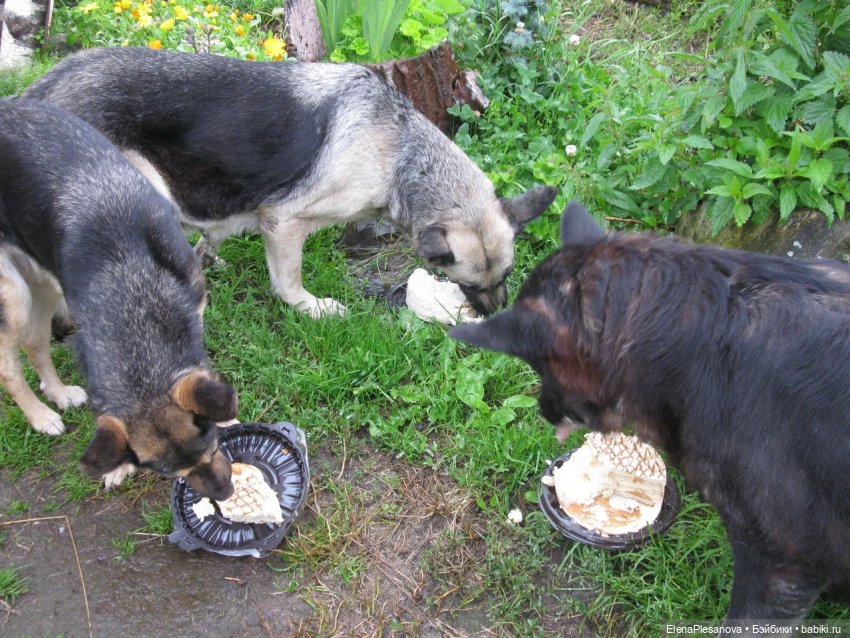 Если я вдруг о чём-то забыла (фото 2)