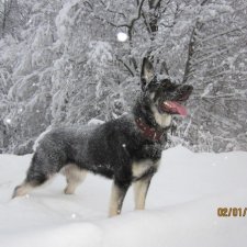 Если я вдруг о чём-то забыла