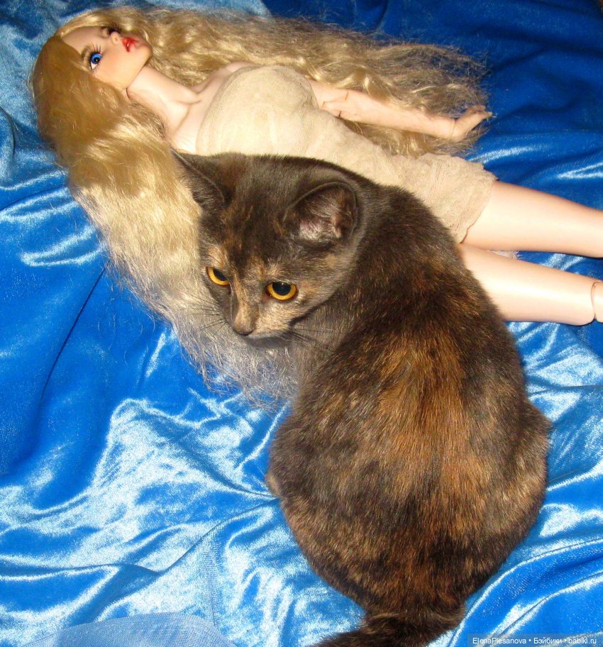 ..... и были ноги "от лопастей зубов"... "Хранитель" - изверг ?!! Или всё же это кастом (фото 8)