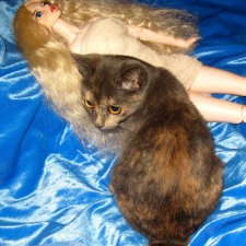 ..... и были ноги "от лопастей зубов"... "Хранитель" - изверг ?!! Или всё же это кастом ?