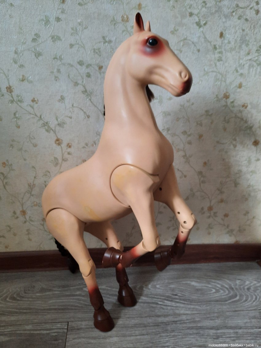 Лошадь Our Generation породы Морган, рассматриваем со всех сторон