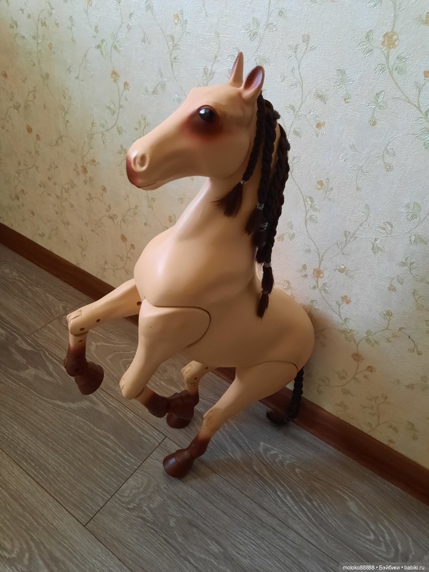 Лошадь Our Generation породы Морган, рассматриваем со всех сторон