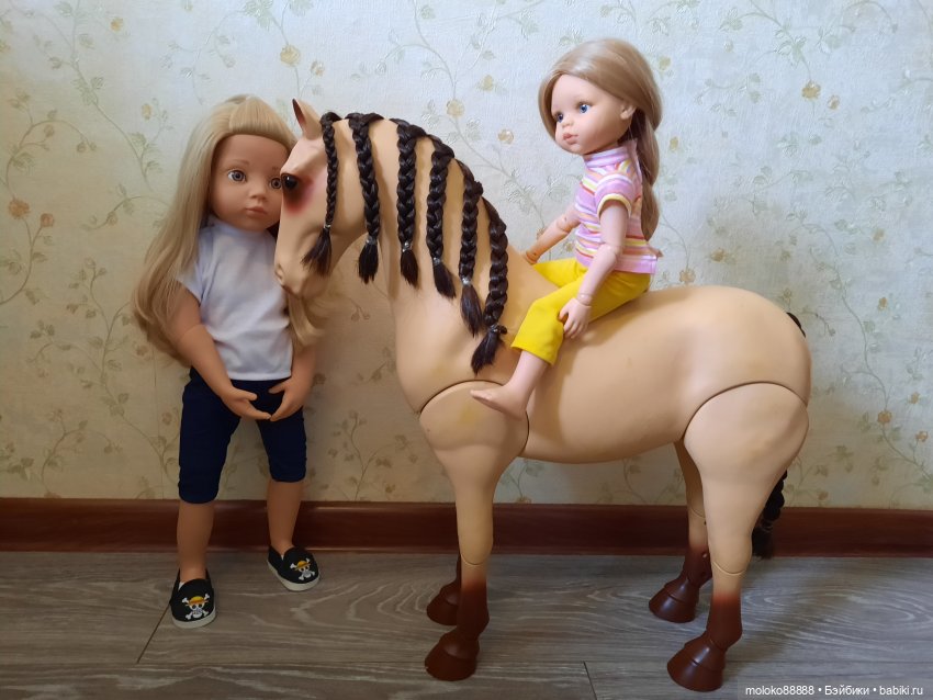 Лошадь Our Generation породы Морган, рассматриваем со всех сторон