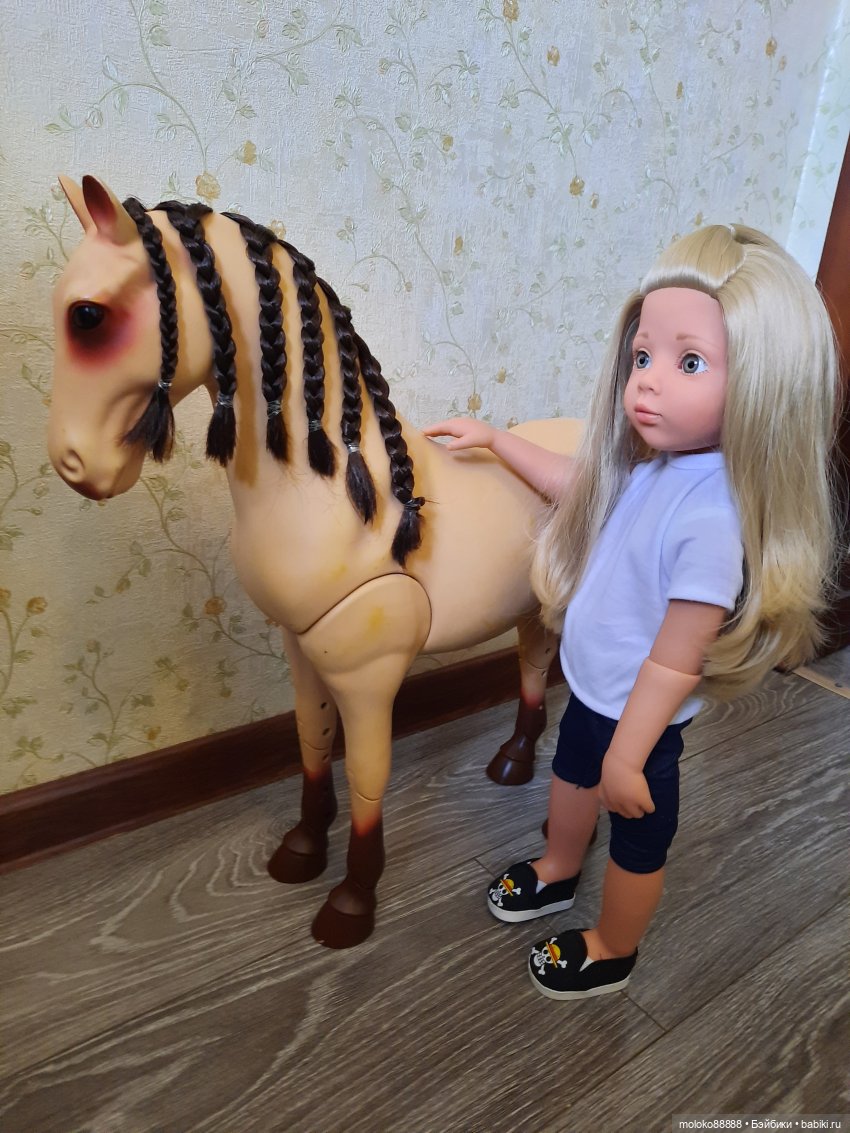 Лошадь Our Generation породы Морган, рассматриваем со всех сторон