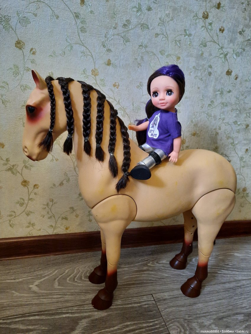 Лошадь Our Generation породы Морган, рассматриваем со всех сторон