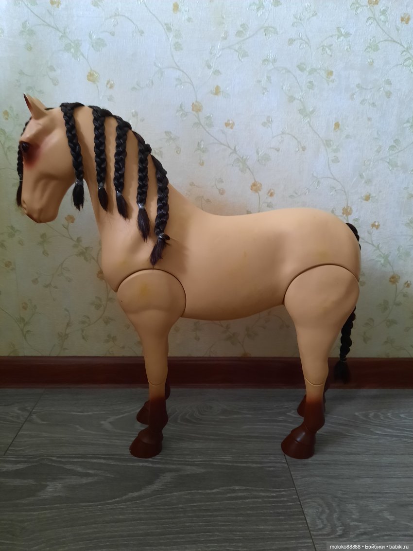 Лошадь Our Generation породы Морган, рассматриваем со всех сторон