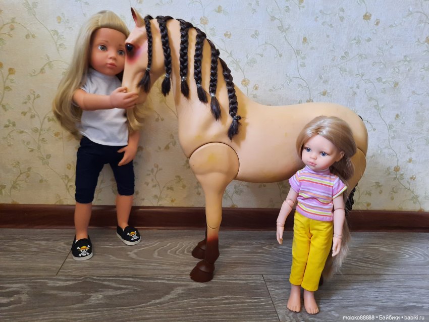 Лошадь Our Generation породы Морган, рассматриваем со всех сторон