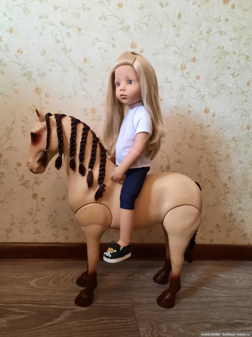 Лошадь Our Generation породы Морган, рассматриваем со всех сторон