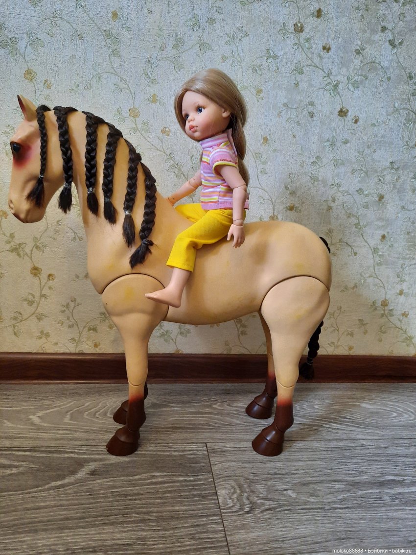 Лошадь Our Generation породы Морган, рассматриваем со всех сторон