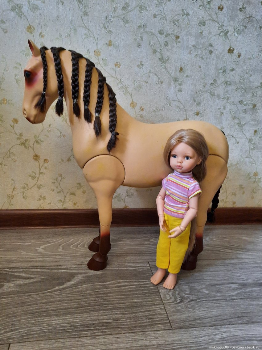 Лошадь Our Generation породы Морган, рассматриваем со всех сторон