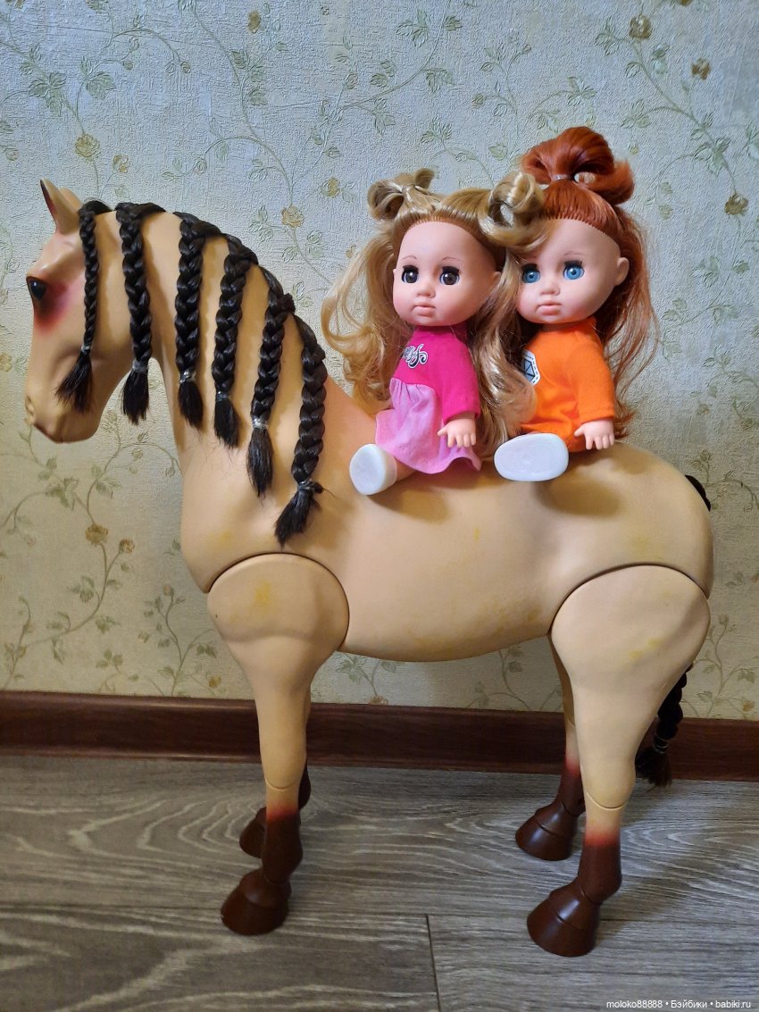 Лошадь Our Generation породы Морган, рассматриваем со всех сторон