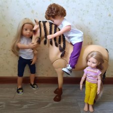 Лошадь Our Generation породы Морган, рассматриваем со всех сторон