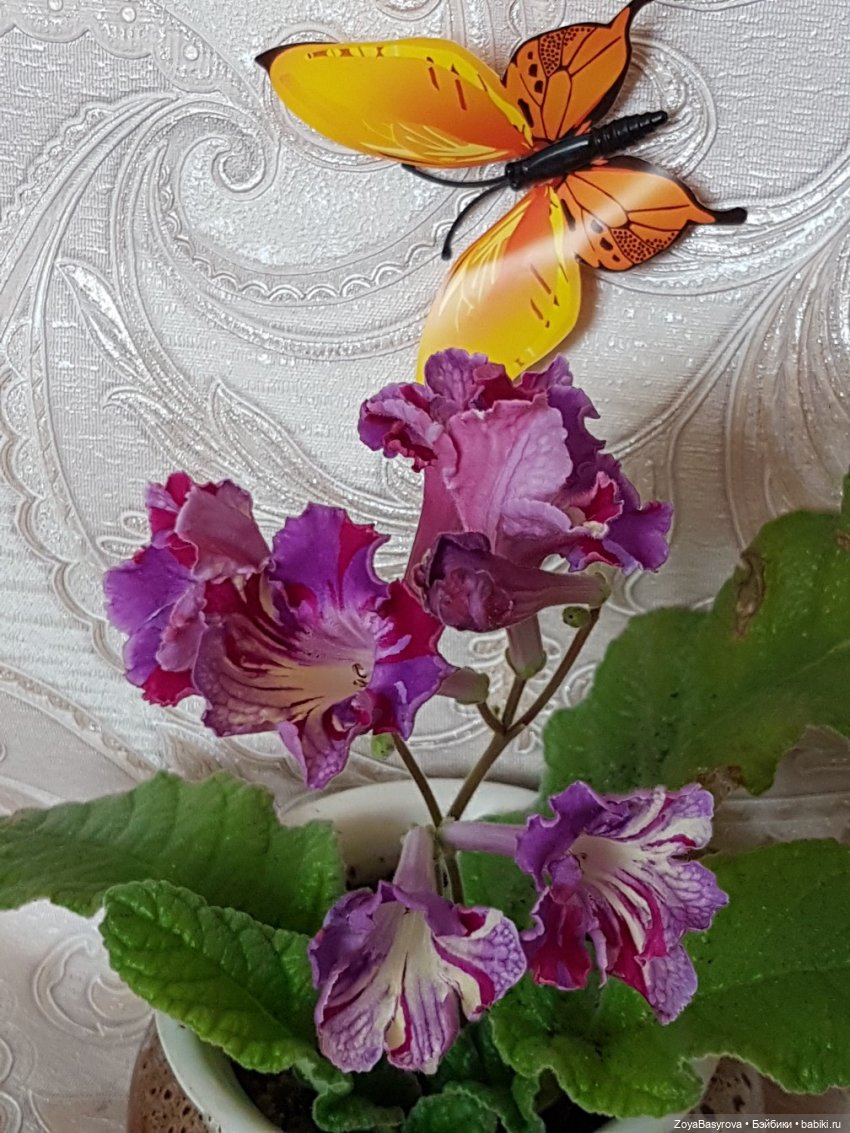 Ждем Весну, она пропала | Бэйбики Ждем Весну, она пропала — Одежда и обувь для кукол своими руками: фото (фото 6)