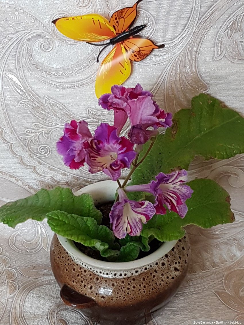 Ждем Весну, она пропала | Бэйбики Ждем Весну, она пропала — Одежда и обувь для кукол своими руками: фото (фото 7)