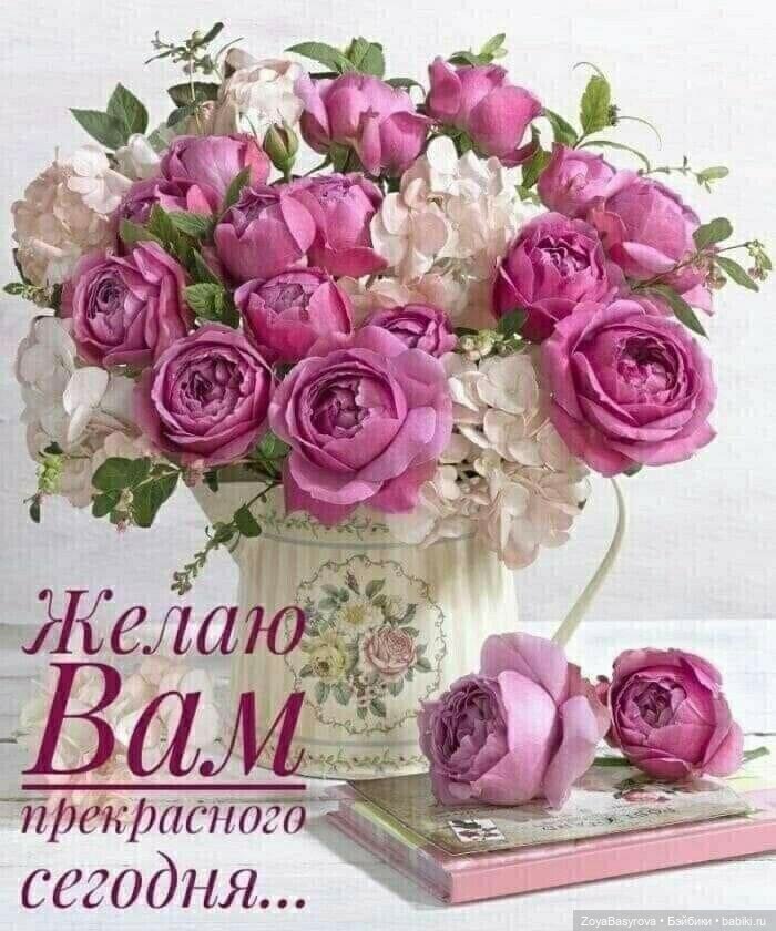 Пионовые куколки — Куклы Ruby Red (Руби Ред) Fashion Friends: Siblies