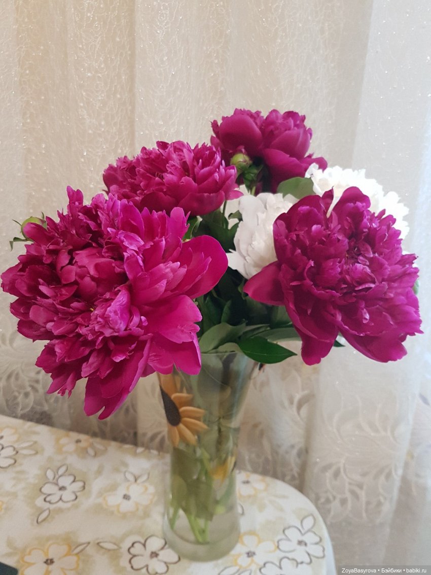 Пионовые куколки — Куклы Ruby Red (Руби Ред) Fashion Friends: Siblies (фото 2)