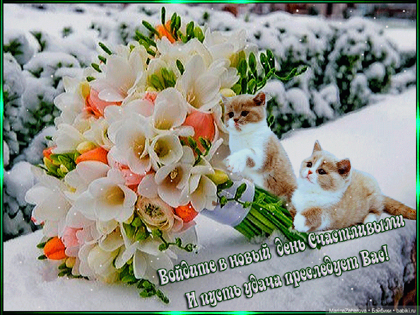 Давайте знакомиться...или МОЯ "Шоколадная сказка" №13