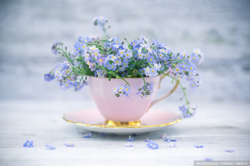 Давайте знакомиться...или МОЯ "Шоколадная сказка" №12