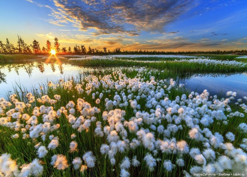 Давайте знакомиться или МОЯ "Шоколадная сказка" №21