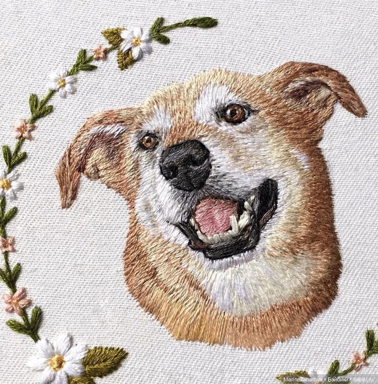 Прекрасное рядом — Другие хобби и увлечения: сад