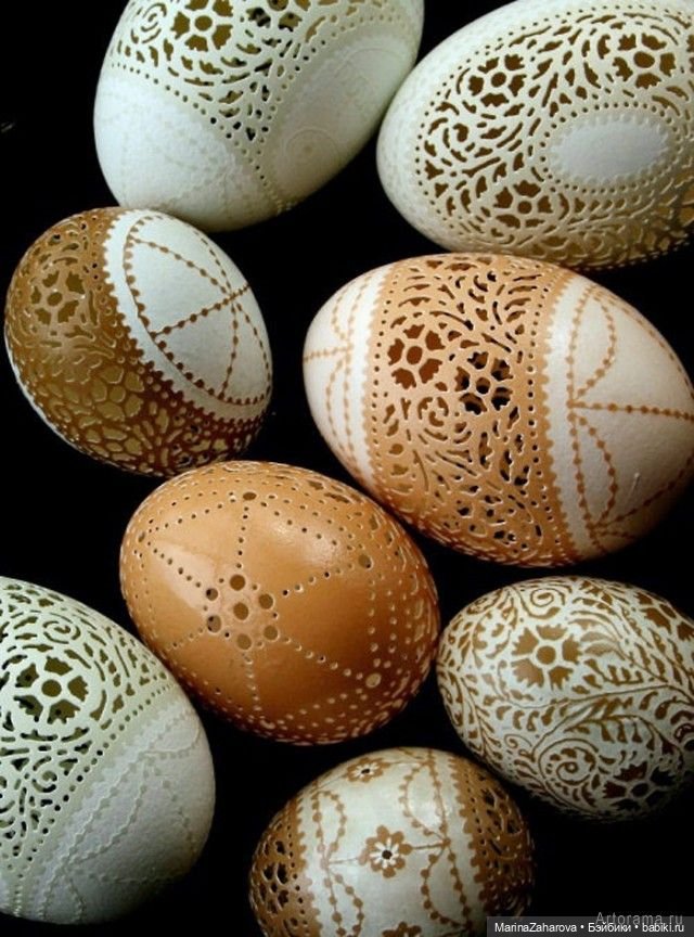 Прекрасное рядом — Другие хобби и увлечения: сад