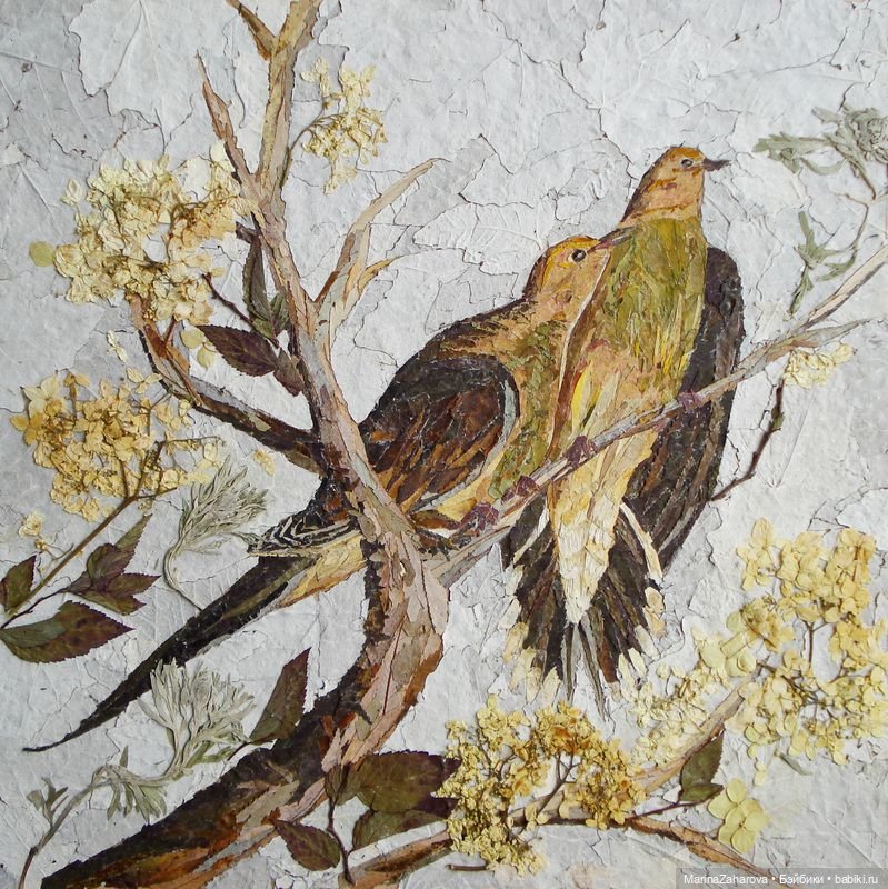 Прекрасное рядом — Другие хобби и увлечения: сад